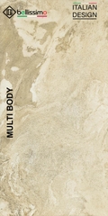 Gạch cao cấp có chức năng diệt khuẩn BELLISSIMO - C121J83P kích thước 60X120 cm