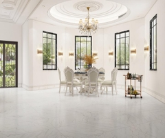 Gạch cao cấp có chức năng diệt khuẩn FLORINA - FL126M7 kích thước 60X120 cm