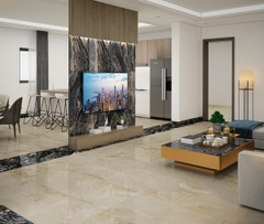 Gạch cao cấp có chức năng diệt khuẩn BELLISSIMO - C121J83P kích thước 60X120 cm