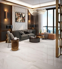 Gạch cao cấp có chức năng diệt khuẩn LACASA - LT10014 kích thước 100X100 cm