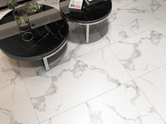 Gạch cao cấp có chức năng diệt khuẩn BELLISSIMO - BL126M13 kích thước 60X120 cm
