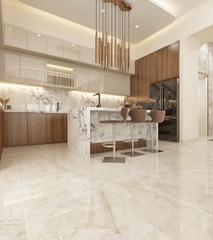 Gạch cao cấp có chức năng diệt khuẩn BELLISSIMO - BL10041 kích thước 100X100 cm