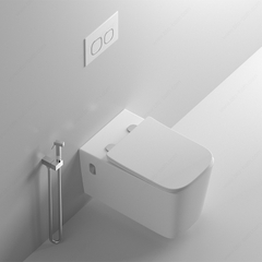 Bồn cầu âm tường cao cấp Bravat C21176UW-ENG