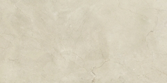 Gạch cao cấp có chức năng diệt khuẩn FLORINA - FL126M8 kích thước 60X120 cm