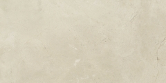 Gạch cao cấp có chức năng diệt khuẩn FLORINA - FL126M8 kích thước 60X120 cm