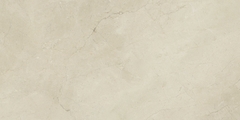 Gạch cao cấp có chức năng diệt khuẩn FLORINA - FL126M8 kích thước 60X120 cm