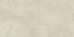Gạch cao cấp có chức năng diệt khuẩn FLORINA - FL126M8 kích thước 60X120 cm