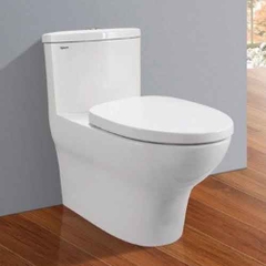 Combo Thiết Bị Vệ Sinh Viglacera số 4