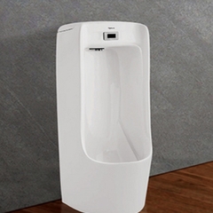 Tiểu nam kiểu đứng Viglacera TD4