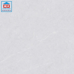 Gạch lát nền Việt Ý 80x80 VY1-P88004