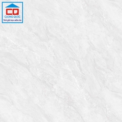 Gạch lát nền Việt Ý 80x80 VY1-P88014