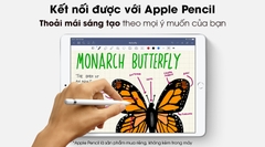 Ipad Air 3 4G + Wifi