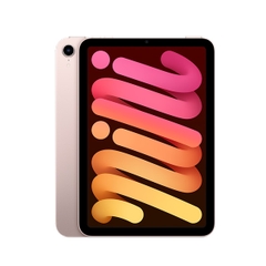 Ipad Mini 6 5G + Wifi