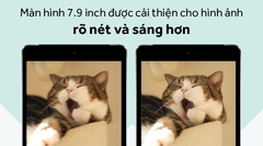 Ipad Mini 4 4G + Wifi