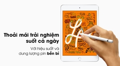 Ipad Mini 5 4G + Wifi