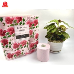 Giấy vệ sinh ECO COLOR lõi xanh, lõi hồng