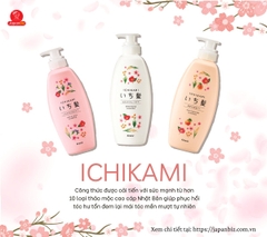 Cặp dầu gội xả Ichikami