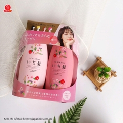 Cặp dầu gội xả Ichikami