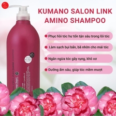 Set gội xả phục hồi hư tổn chiết xuất hoa trà Salon Link Amino 1000mL