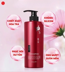 Dầu gội chiết xuất từ dầu hoa trà Kumano 600ml