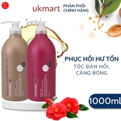 Set gội xả phục hồi hư tổn chiết xuất hoa trà Salon Link Amino 1000mL