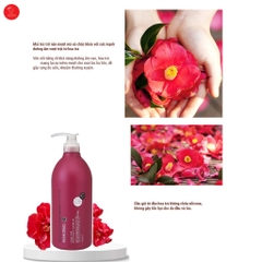 Set gội xả phục hồi hư tổn chiết xuất hoa trà Salon Link Amino 1000mL