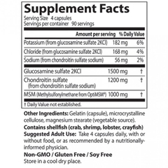 GLUCOSAMINE CHONDROITIN (360v)