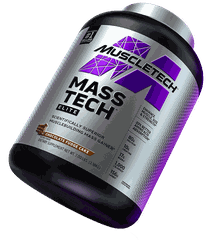 MASS TECH ELITE (6lbs)