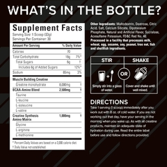 SIXSTAR CREATINE X3 (30 Servings)