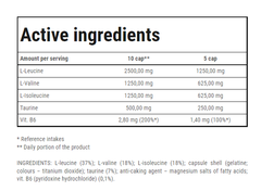 BCAA HIGH SPEED (10g)