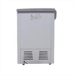 Tủ đông Pinimax PNM-39WF - 390L