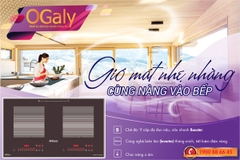Bếp từ đôi Ogaly OG-D8300