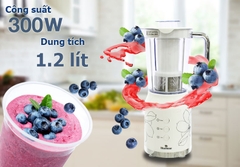 Máy xay sinh tố Bluestone BLB5335 300W