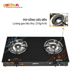 Bếp Gas Dương Goldsun GGS7009