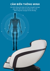 Ghế massage Havinco 550-nâu