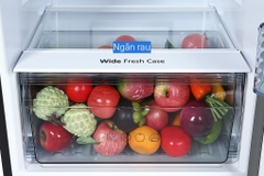 Tủ lạnh Panasonic Inverter 268 lít NR-TV301BPKV