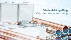 Tủ đông Sanaky Inverter 365 Lít VH-5699W3