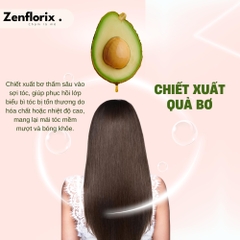 Zenflorix Dầu xả Florix Shine hỗ trợ dưỡng tóc mềm mượt giúp ngăn rụng tóc dầu  gội