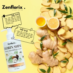 Zenflorix Dầu gội Florix Shine hỗ trợ làm sạch gàu và giảm ngứa da đầu dầu  gội