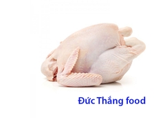 Gà nguyên con Hàn Quốc