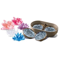 Bộ Khoa Học Tinh Thể_Đồ Chơi STEAM Khoa Học Nghiên Cứu Sự Phát Triển Của Các Tinh Thể Pha Lê Trong Tự Nhiên_Thương Hiệu 4M