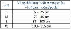 Đai hỗ trợ vùng thắt lưng Standard Pita Coru