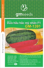 Dưa hấu hắc mỹ nhân F1 GM-1391