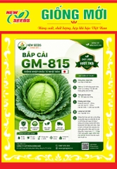 BẮP CẢI F1 GM-815