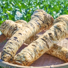 Cải Ngựa Kinjirushi Bào Nhuyễn Đông Lạnh 100G