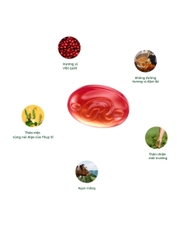 Kẹo ngâm thảo mộc Ricola Cranberry 40G