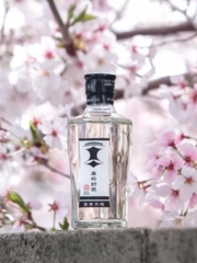 Rượu Sake Kuromatsu Kenbishi 17% 180ML