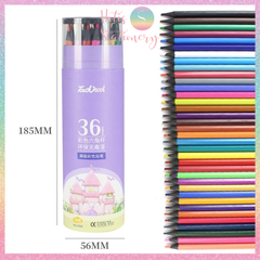 [HOTIS] Bút chì màu Touchcool sản phẩm thân thiện với môi trường - Bộ 12/ 24/ 36/ 48 màu