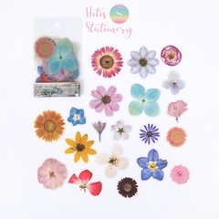 [HOTIS] Set 40 sticker thực vật hoa lá trang trí sổ tay/ nhật ký/ sketchbook