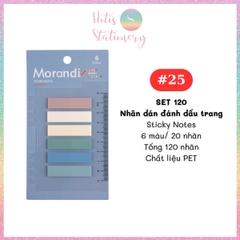 [HOTIS] Nhãn dán đánh dấu trang PET sticker ghi chú, phân trang nhiều màu Morandi trong suốt